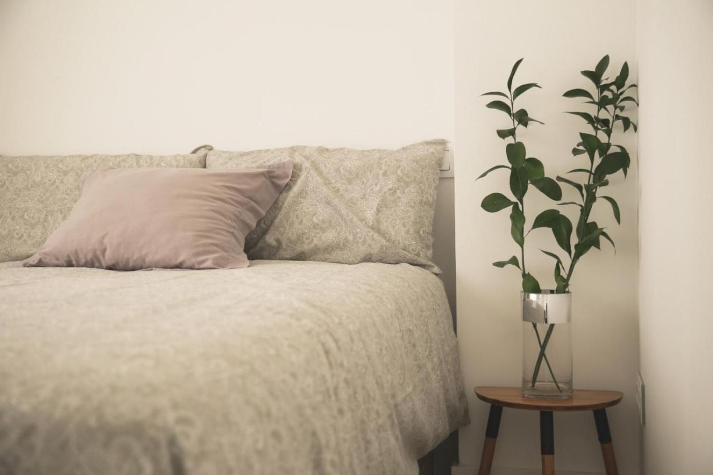 Romantico Apartamento En El Centro Santander Exterior foto